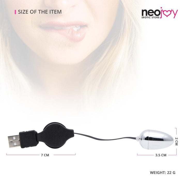 Neojoy Small Silver Bullet - USB Plug Bullet Vibrator - Clitoral Anal Vaginal Stimulation - Spring-back Wire Adult Sex Toy - Lucidtoys