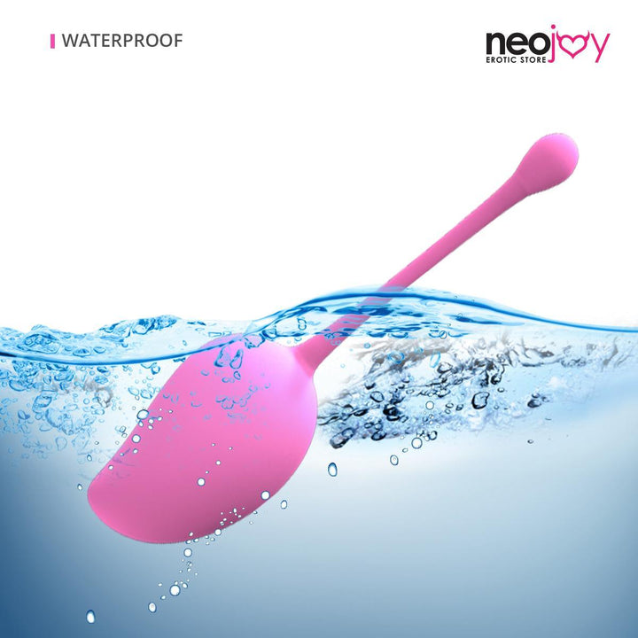 Neojoy Pelvic Training Kit Silicone Weights for Vaginal Walls - Bladder Control - Lucidtoys